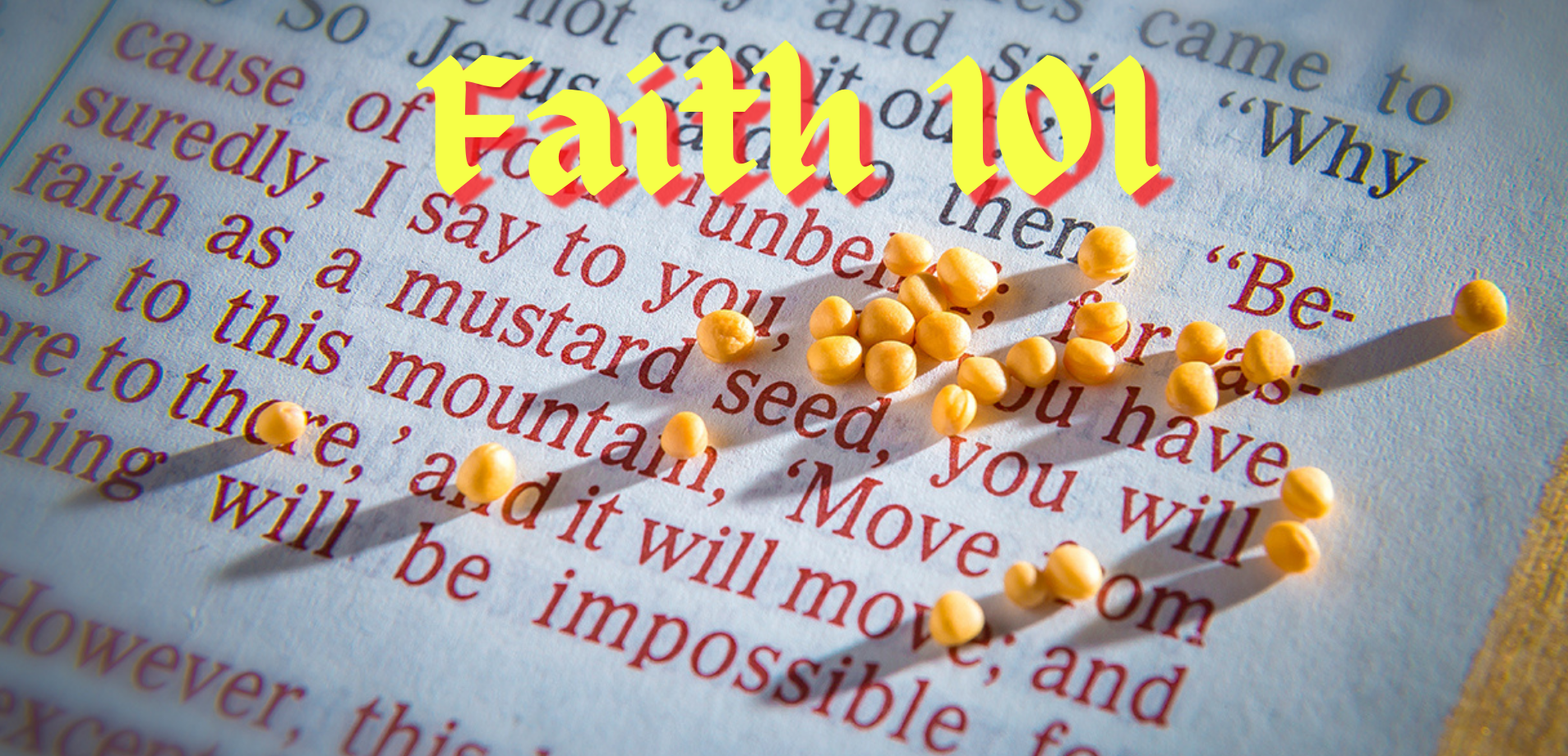Read more about the article Faith 101 Part 1 – The Just Shall Live By Their Faith